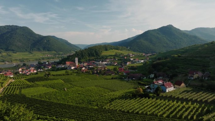 从空中俯瞰的游客可以看到，在郁郁葱葱的瓦豪山谷中，奥地利的斯皮茨葡萄园令人惊叹