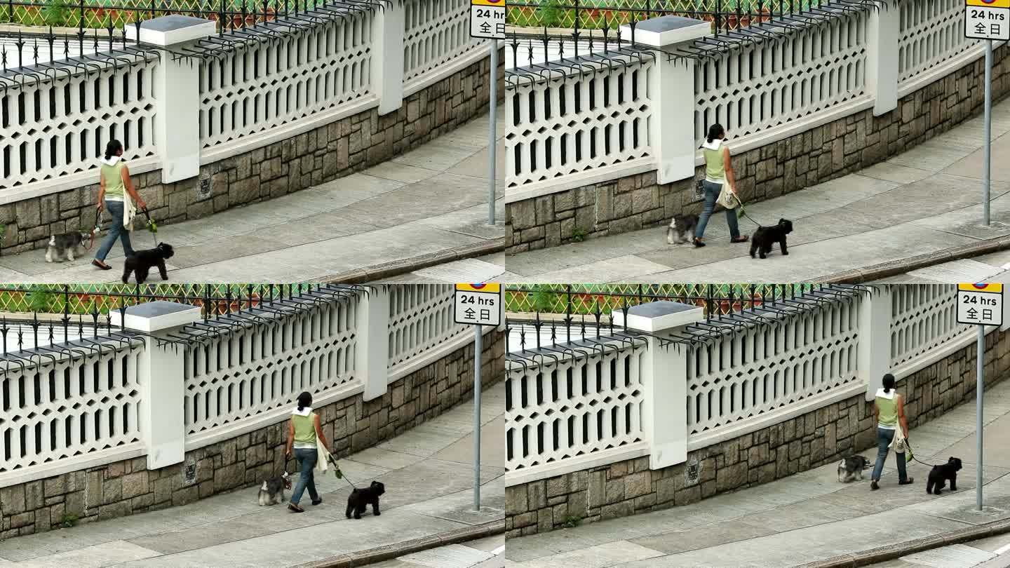 一个女人在街道上遛狗