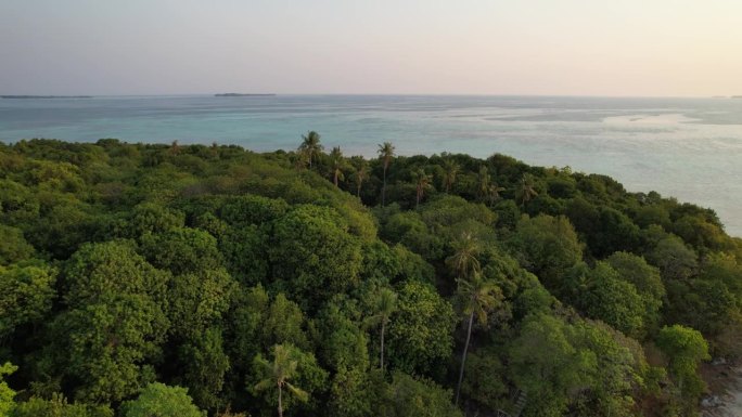 丹戎格兰海滩卡里蒙爪哇岛，棕榈树和热带岛屿