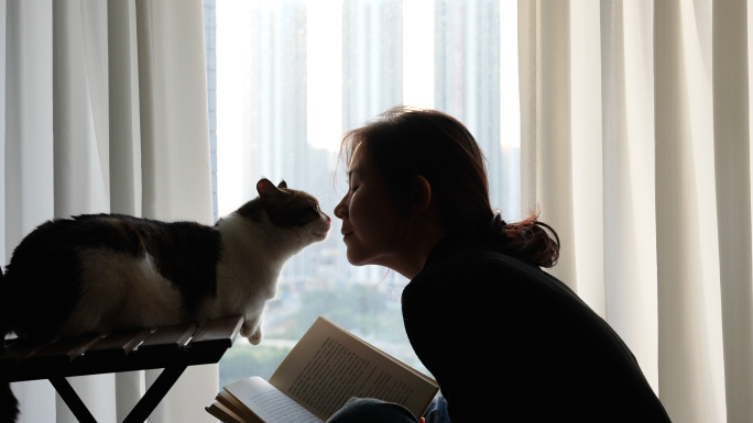 傍晚女孩在窗边逗猫看书剪影 宠物温馨陪伴