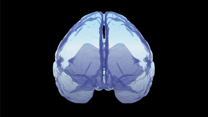 脑神经电信号模拟生理科普大脑病症脑电波
