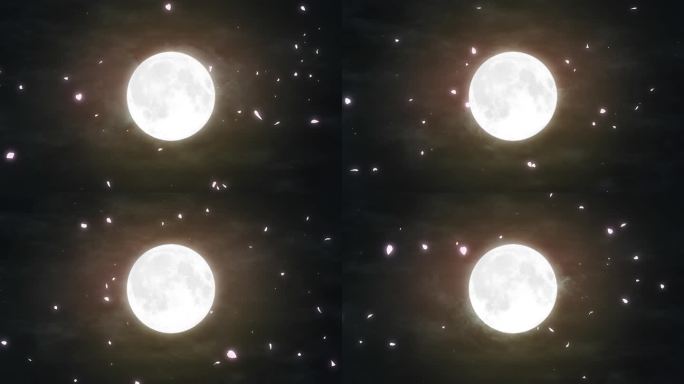 月亮花瓣飘落视频素材