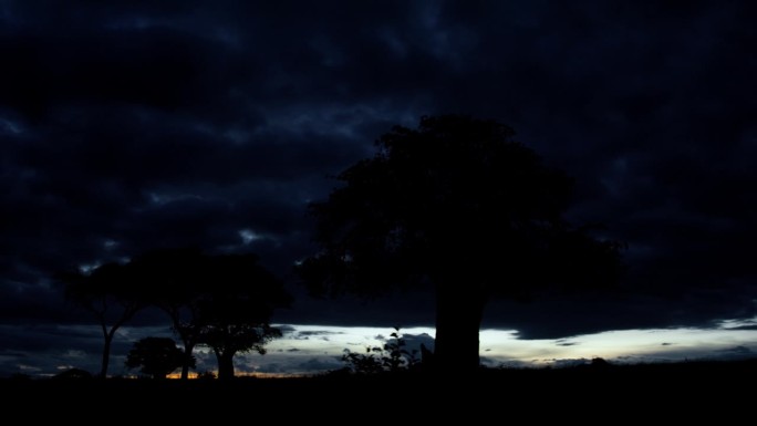 黄昏时分，驾车穿越坦桑尼亚美丽的风景