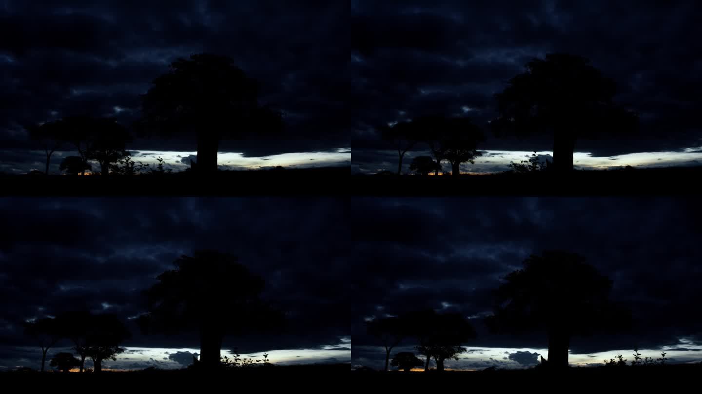 黄昏时分，驾车穿越坦桑尼亚美丽的风景