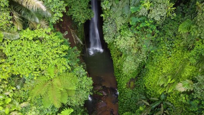 勒克瀑布隐藏在印度尼西亚巴厘岛的热带丛林风光和郁郁葱葱的绿色森林植被中。空中