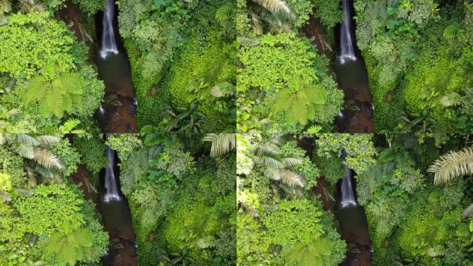 勒克瀑布隐藏在印度尼西亚巴厘岛的热带丛林风光和郁郁葱葱的绿色森林植被中。空中