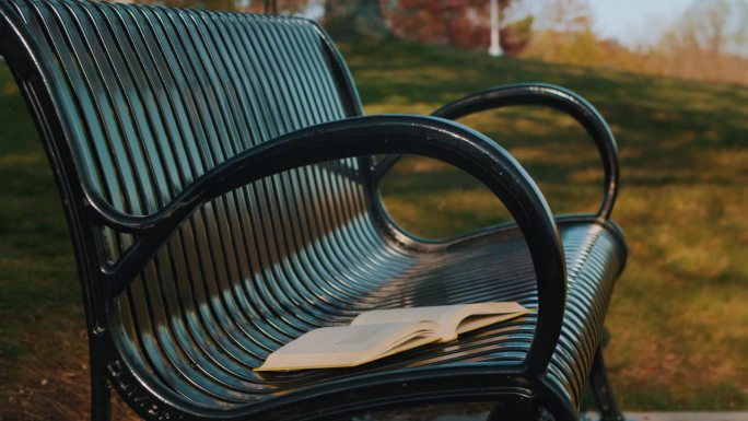 在空旷的公园长椅上打开一本书，风吹过书页