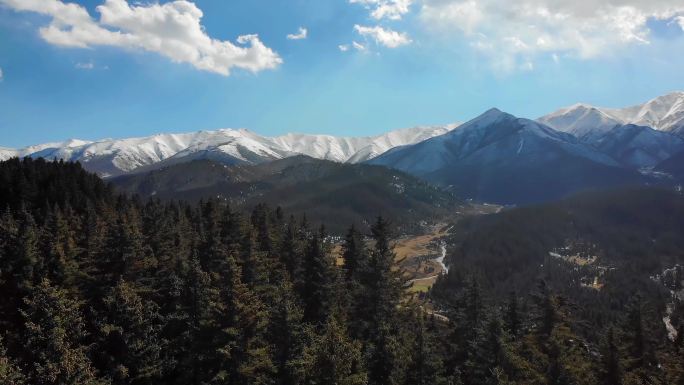 祁连山自然保护区航拍4K雪山