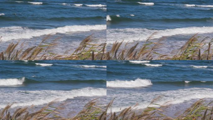 海水 海浪 浪花 海面 海边 沙滩 海