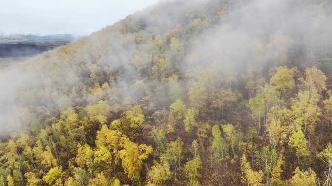 内蒙古兴安盟地区大兴安岭秋季云海景观