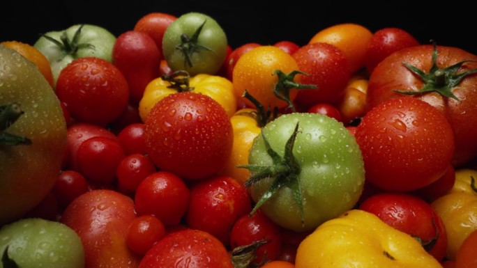极端宏观番茄品种背景。新鲜成熟的有机蔬菜收获