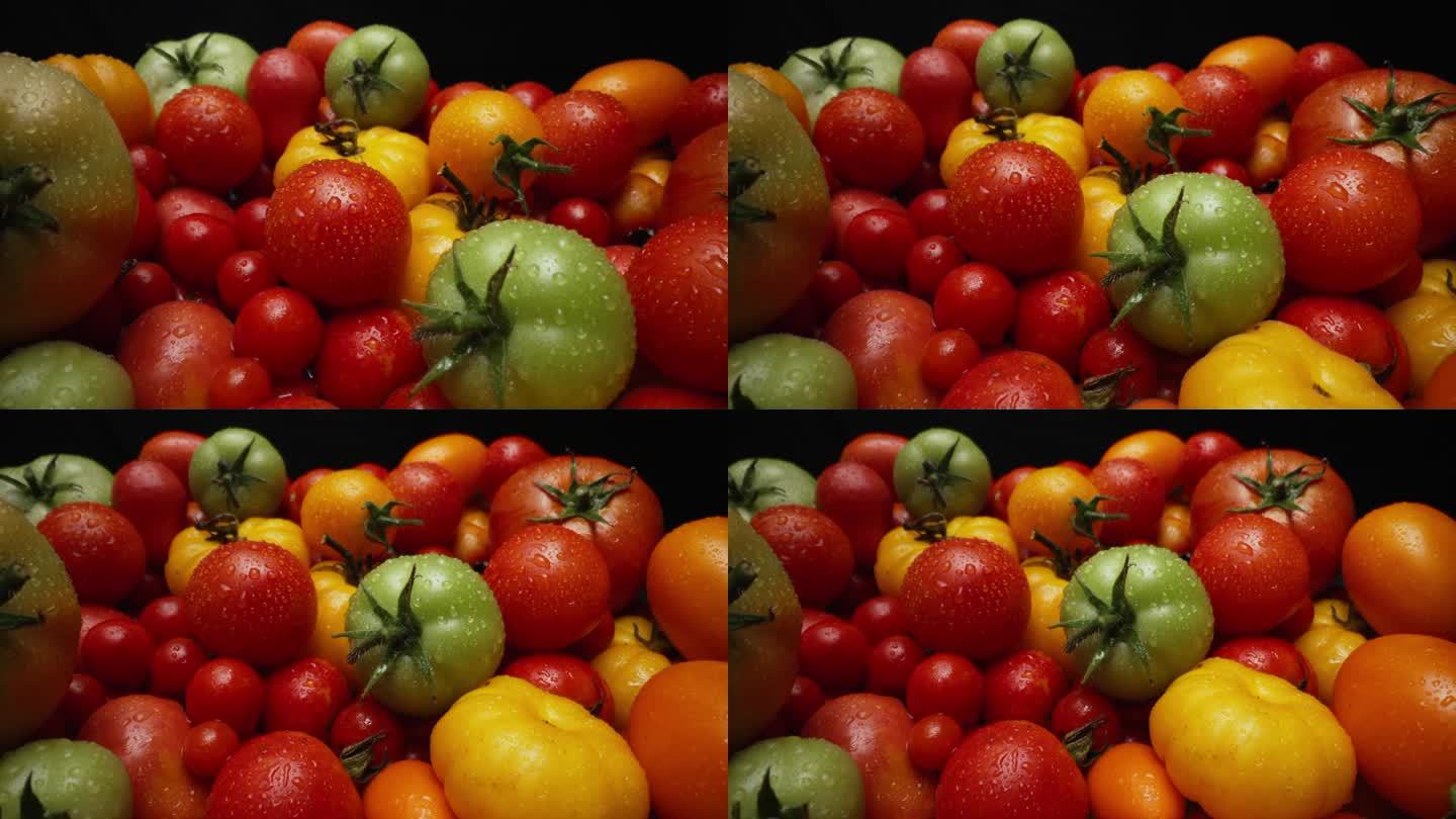 极端宏观番茄品种背景。新鲜成熟的有机蔬菜收获