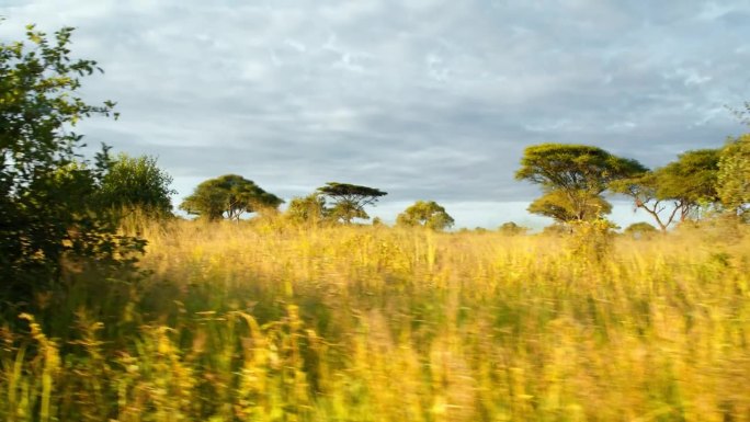 驾车穿越坦桑尼亚美丽的风景