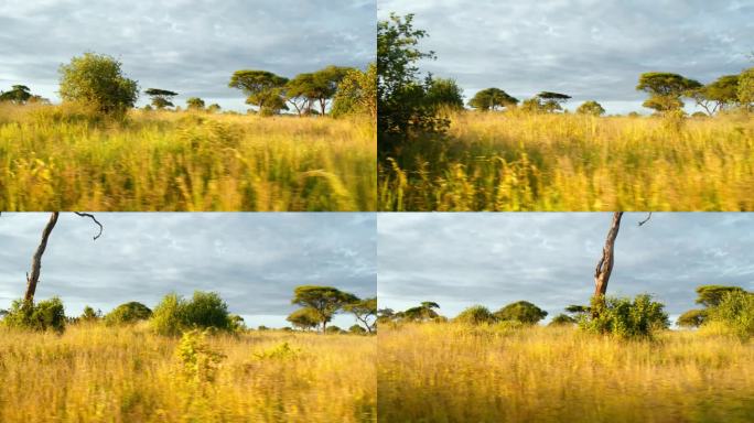 驾车穿越坦桑尼亚美丽的风景