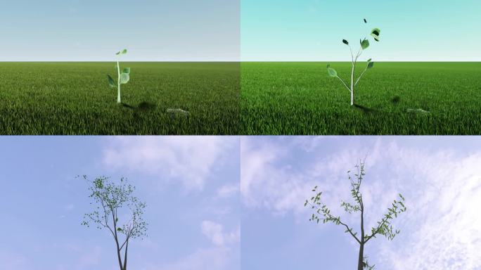 小树树苗树发芽生长长成大树树木动画组合