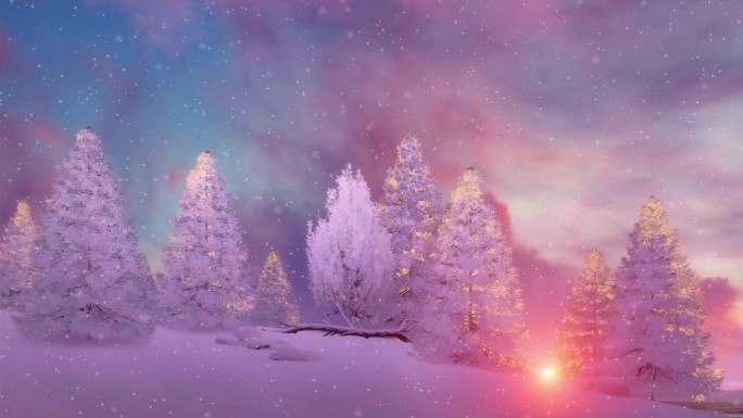 冬季景观冷杉林黄昏伴雪