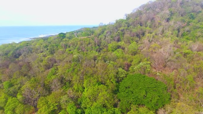 从哥斯达黎加丛林覆盖的山丘向尼科亚半岛彼德拉角附近的太平洋推进的航拍照片