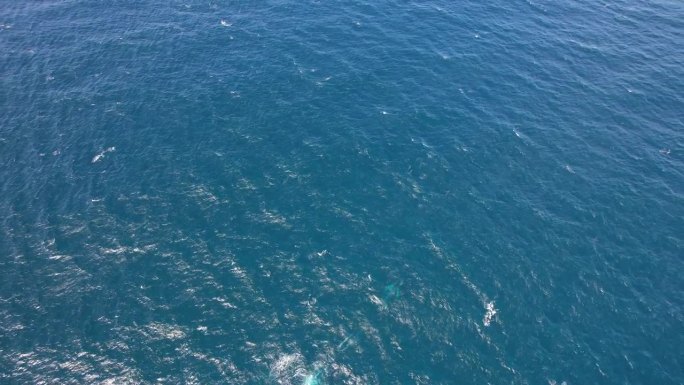 风景优美的海景与座头鲸在水里游泳在新南威尔士州，澳大利亚-航拍