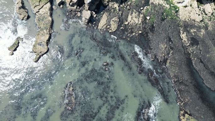 空中无人机英国海岸线。从上方直接向下拍摄。鸟瞰草崖顶，海岸，海岸，海岸线和海浪海鸥东北英格兰马斯登桑