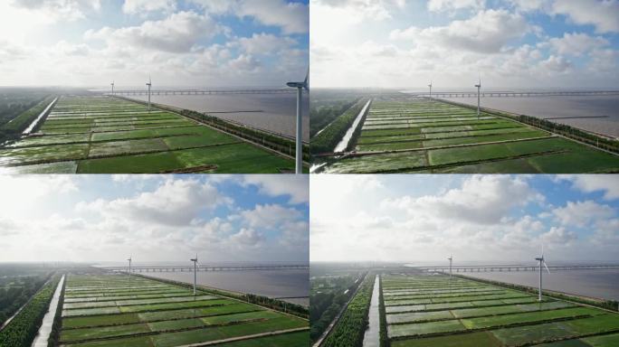 中国上海长兴岛海边稻田风车