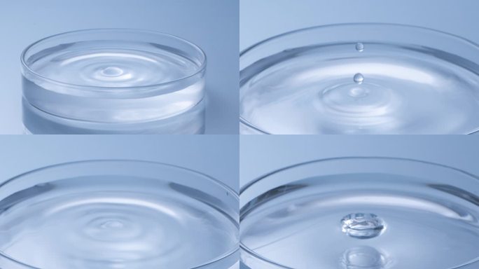 水滴进培养皿中 蓝色背景 4k慢镜头合集