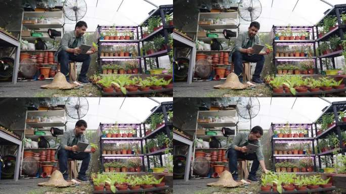 图为一位印度城市农民在一个小温室里进行质量控制检查