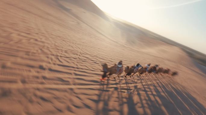 穿越机沙漠骆驼甘肃
