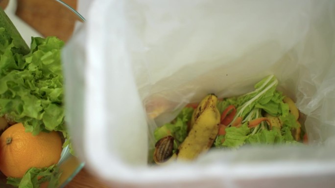 生态堆肥供应厨余废物分类，从菜板上回收蔬菜皮，环保堆肥。扔掉剩果皮和蔬菜，减少零浪费。