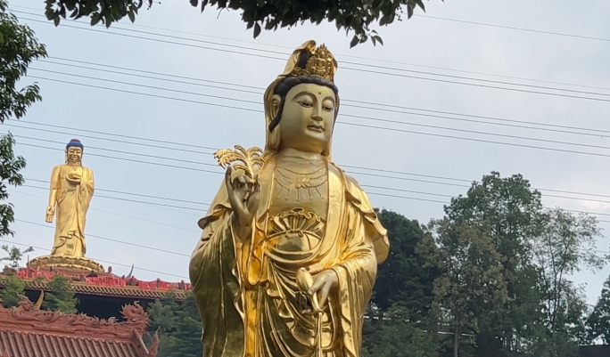 观音庙 寺庙 佛像 宗教 信仰 佛祖