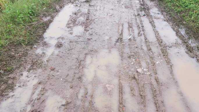 乡间泥泞路 稻田小道 田间泥泞路乡间小道