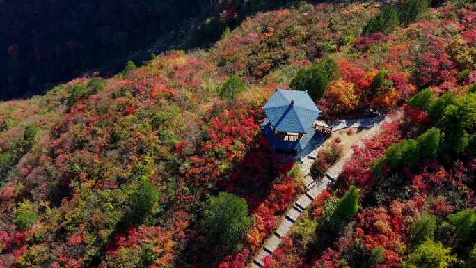 航拍秋天山岭红叶