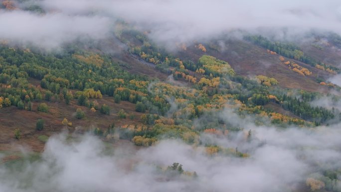 航拍新疆阿勒泰禾木风景区的秋雾