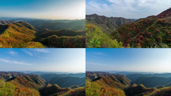 秋天太行山红叶自然风光延时