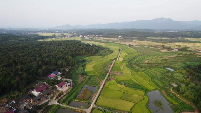 4k 航拍湖南 永州茶厂稻田航拍素材合集