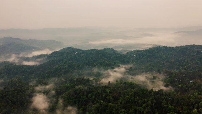 【4k】茶山云雾延时