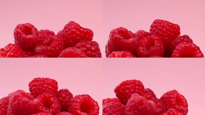 新鲜的覆盆子，绕圈旋转。粉红色背景上的小红莓，正在转动。有选择性的重点。