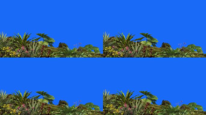 3D渲染动画前景植物和树桩在背景蓝色