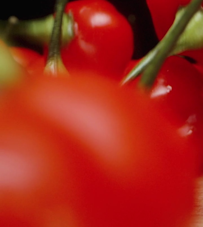 垂直视频。“火鸡之星”品种的微红辣椒以慢镜头落在桌子上。微距滑块拍摄。