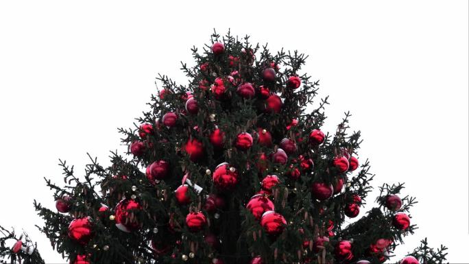 镇广场主圣诞树为新年装点。