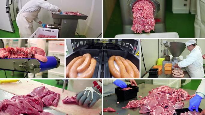 肉类加工厂-多屏幕视频