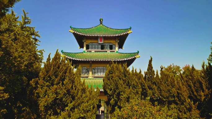 秋天重阳节东湖听涛景区屈原行吟阁林荫道