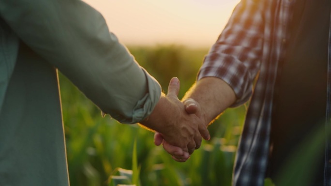 两位农民在农田上的握手，手的特写，农业企业的大事