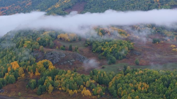 航拍新疆阿勒泰禾木风景区的秋雾