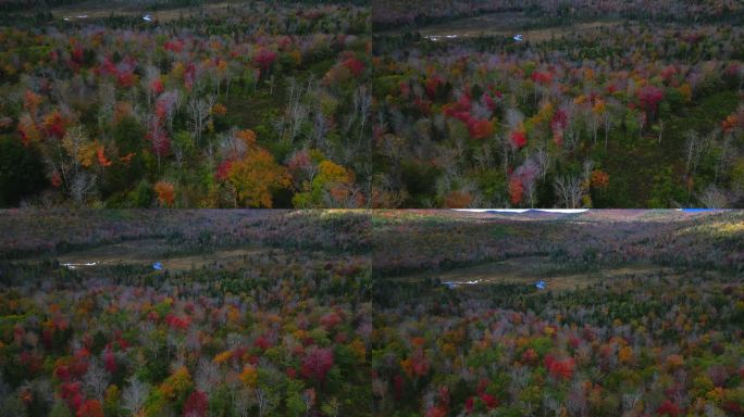 航拍摄影车在新罕布什尔州的晚秋树木上倾斜，揭示了阴影中的山谷