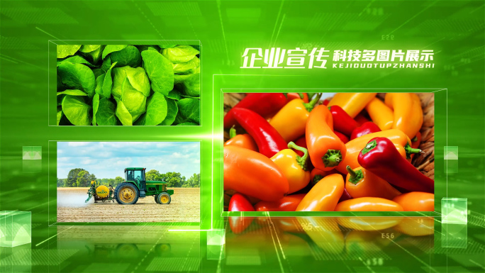 绿色农业科技图文多图片照片包装展示