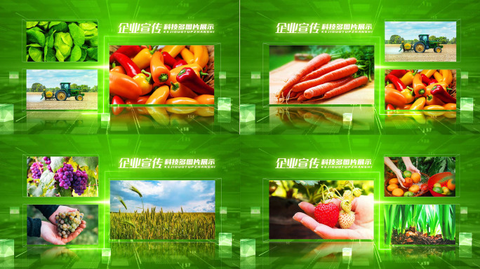 绿色农业科技图文多图片照片包装展示