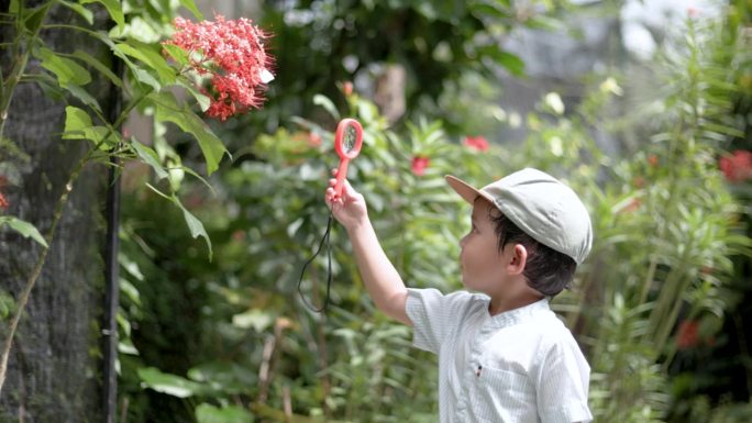 亚洲儿童博物学家用放大镜探索植物和蝴蝶的生命。一个男孩
用放大镜看树枝上的蝴蝶