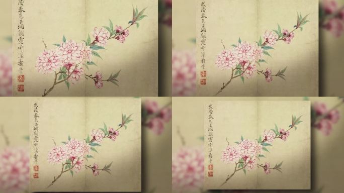 【含ae工程】恽寿平 花卉图册之一·桃花