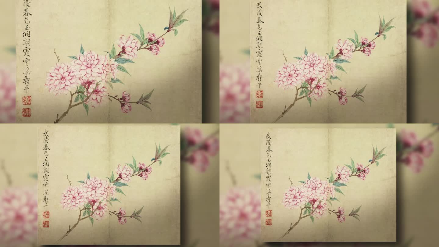 【含ae工程】恽寿平 花卉图册之一·桃花