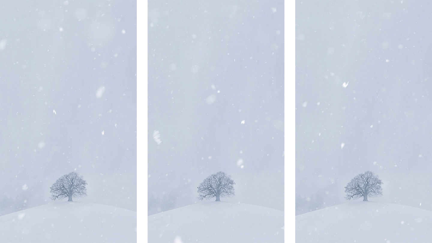 冬季唯美雪景4K竖版